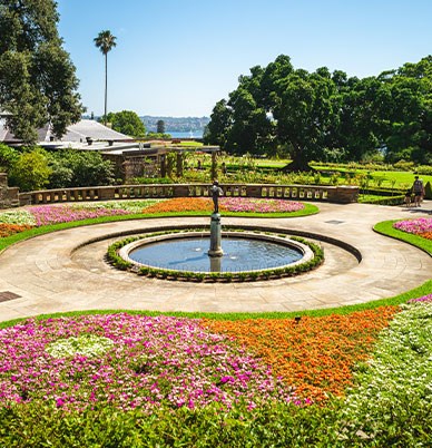 Brisbane City Botanic Gardens