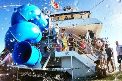 Dolphin Discovery Cruise (Nelson Bay)