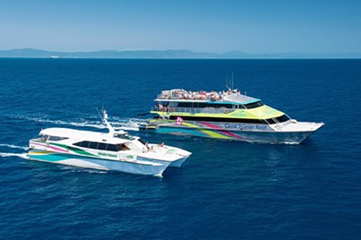 6Hr Big Cat Green Island Tour With Optional Activities