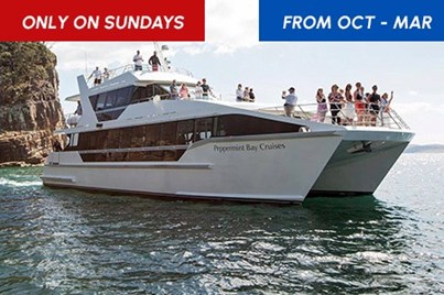 Guests admiring the stunning hobart scenery from the comfort of a luxurious catamaran