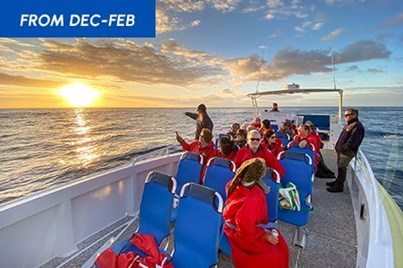 1.5Hr Wilsons Promontory Sunset Cruise