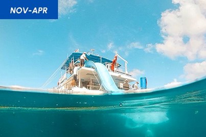 2hr Splash 'N Slide Dolphin Cruise 