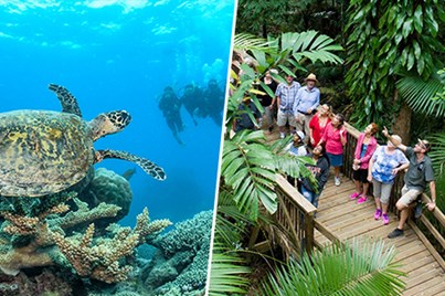 Daintree Rainforest & Great Barrier Reef Combo