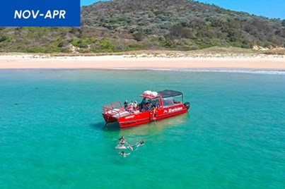 3.5hr Port Stephens Island Snorkelling Adventure 