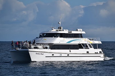 Wilsons Prom Whale Cruise From Port Welshpool