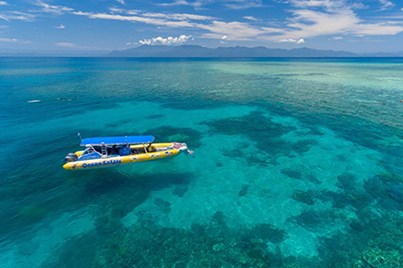 4Hr Ocean Safari Mackay Reef Tour from Cape Tribulation