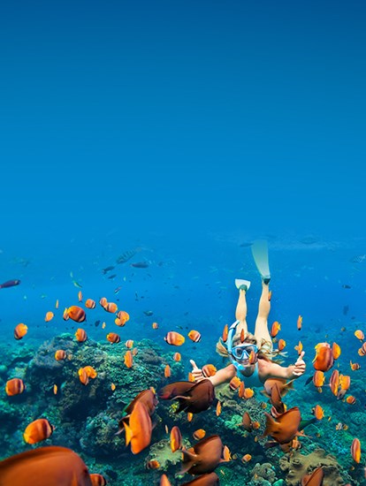 Cairns Outer Great Barrier Reef Cruises