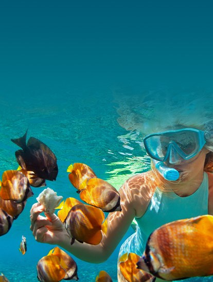 Great Keppel Island Snorkel and Dive Tours