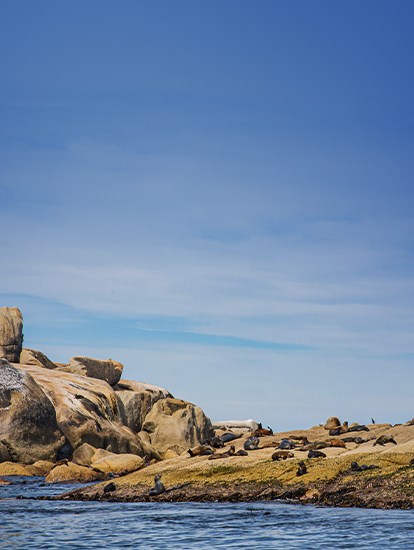 Wilsons Promontory Sightseeing Cruises