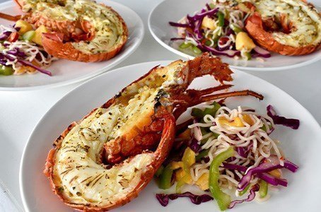 Freshly cooked lobsters served with noodle salad