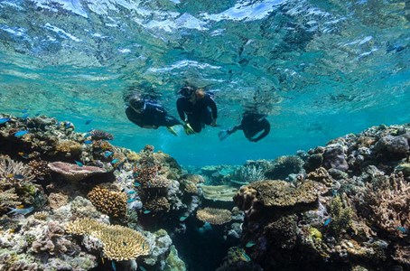 The adventure cruise on the ‘Viper’ is one of the fastest in the Whitsundays