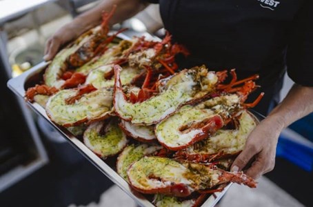 Freshly cooked lobsters served with noodle salad