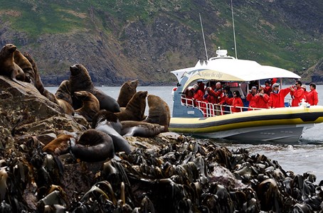 Exciting cruise along Bruny’s rugged coastline