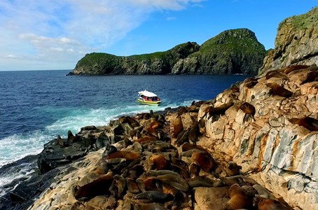 People enjoying the rugged coastline of Bruny Island.