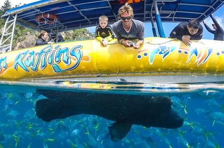 Ocean Rafting’s ‘Northern Expsure’ is one of the best tours to explore Whitehaven Beach