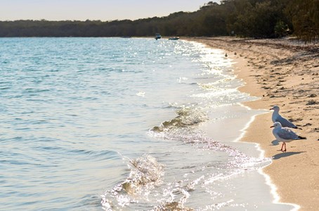 A luxury sailing yacht cruising along the waters off Moreton Island