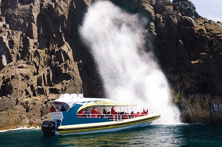 Exciting cruise along Bruny’s rugged coastline