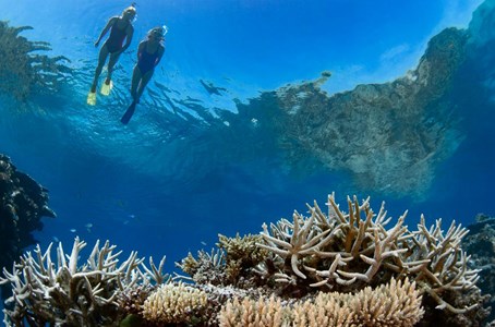 The adventure cruise on the ‘Viper’ is one of the fastest in the Whitsundays