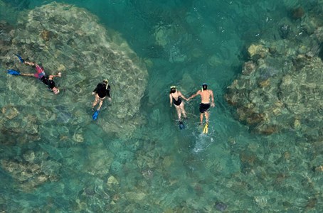 Guests enjoying an intimate encounter with the marine life of Whitsundays