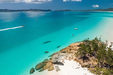 Guests enjoying an intimate encounter with the marine life of Whitsundays