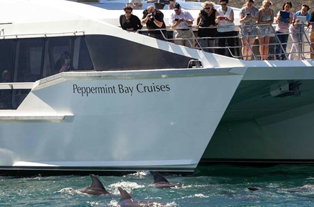 Guests admiring the stunning hobart scenery from the comfort of a luxurious catamaran