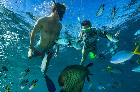 The adventure cruise on the ‘Viper’ is one of the fastest in the Whitsundays