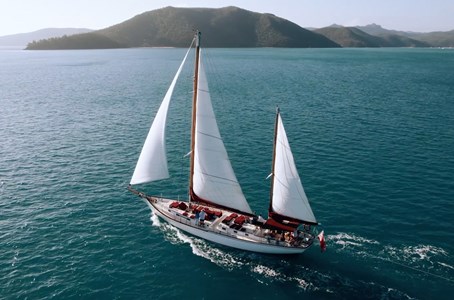 Guests enjoying an intimate encounter with the marine life of Whitsundays