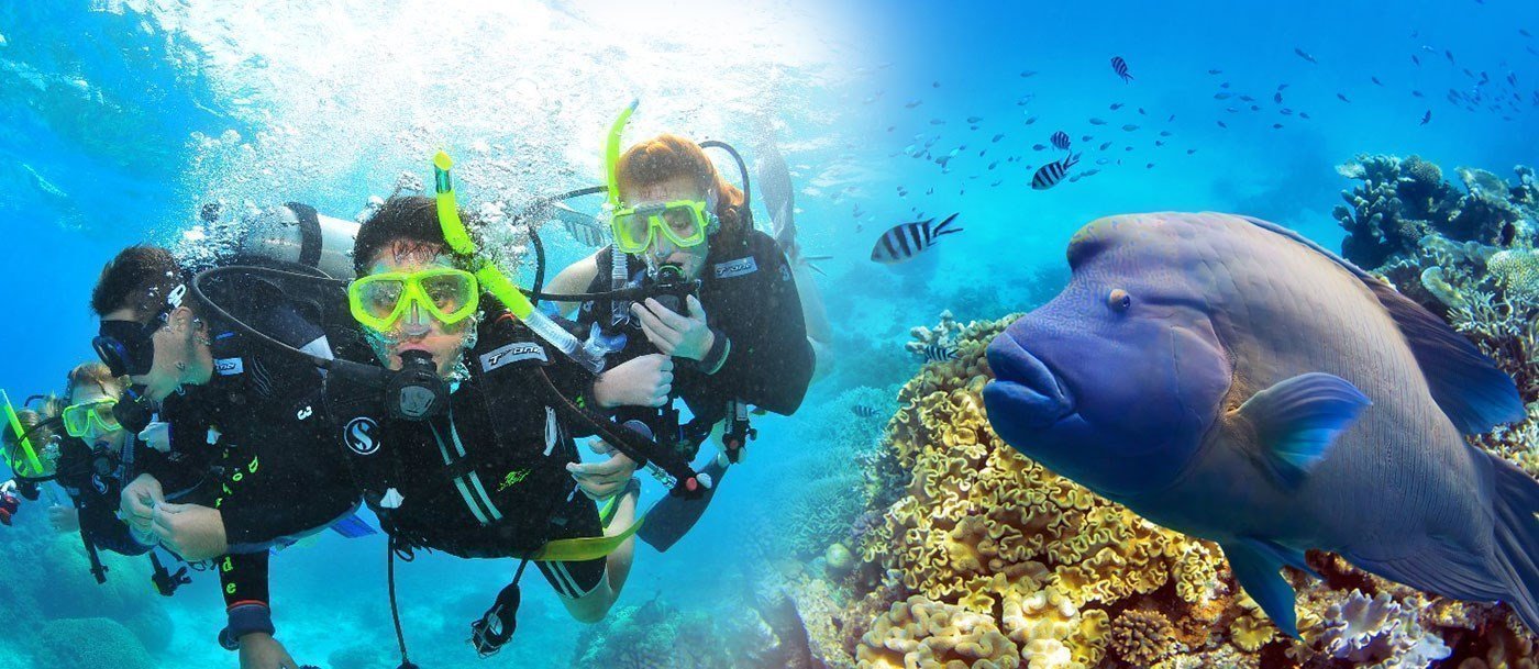 down under reef tours cairns